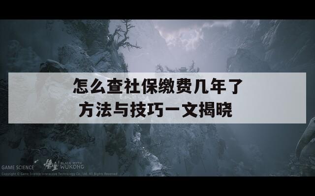 怎么查社保缴费几年了 方法与技巧一文揭晓  第1张