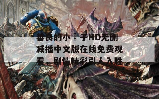 善良的小峓子HD无删减播中文版在线免费观看，剧情精彩引人入胜  第1张