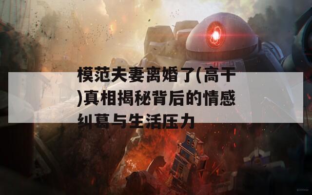 模范夫妻离婚了(高干)真相揭秘背后的情感纠葛与生活压力  第1张