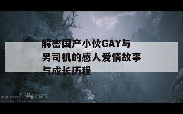解密国产小伙GAY与男司机的感人爱情故事与成长历程  第1张