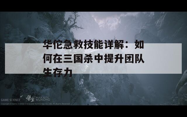 华佗急救技能详解：如何在三国杀中提升团队生存力