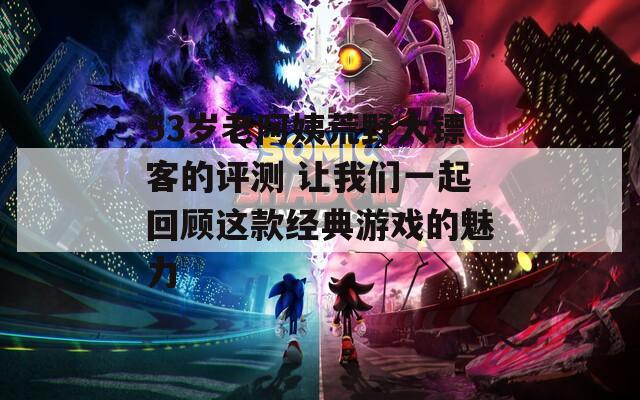 53岁老阿姨荒野大镖客的评测 让我们一起回顾这款经典游戏的魅力  第1张