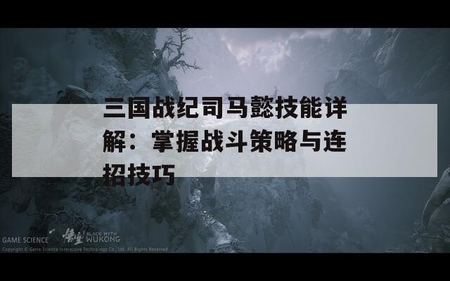 三国战纪司马懿技能详解：掌握战斗策略与连招技巧