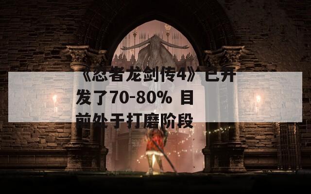 《忍者龙剑传4》已开发了70-80% 目前处于打磨阶段