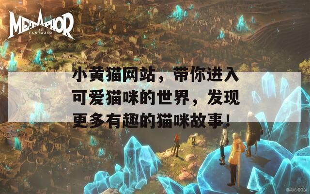 小黄猫网站，带你进入可爱猫咪的世界，发现更多有趣的猫咪故事！