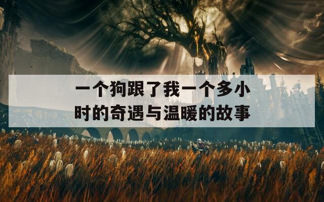 一个狗跟了我一个多小时的奇遇与温暖的故事  第1张