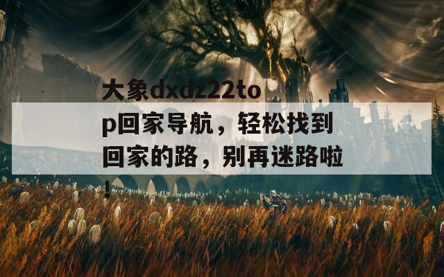 大象dxdz22top回家导航，轻松找到回家的路，别再迷路啦！