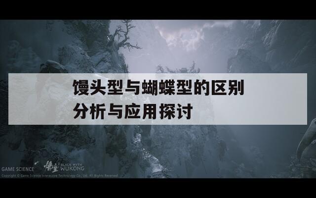 馒头型与蝴蝶型的区别分析与应用探讨