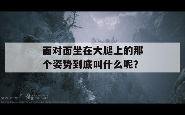 面对面坐在大腿上的那个姿势到底叫什么呢？