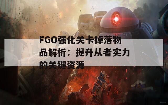 FGO强化关卡掉落物品解析：提升从者实力的关键资源  第1张