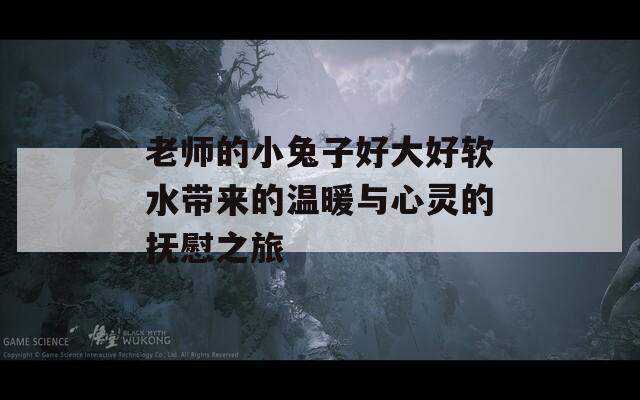 老师的小兔子好大好软水带来的温暖与心灵的抚慰之旅