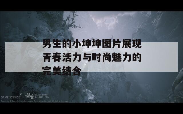 男生的小坤坤图片展现青春活力与时尚魅力的完美结合  第1张