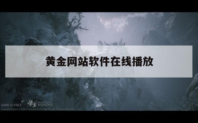 黄金网站软件在线播放  第1张