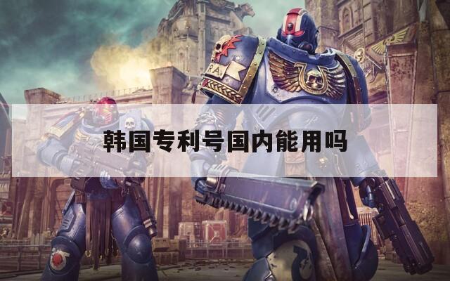 韩国专利号国内能用吗  第1张