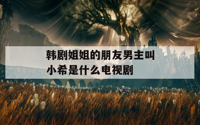 韩剧姐姐的朋友男主叫小希是什么电视剧