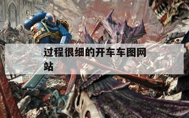 过程很细的开车车图网站