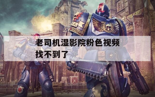 老司机湿影院粉色视频找不到了  第1张