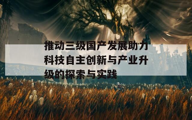 推动三级国产发展助力科技自主创新与产业升级的探索与实践  第1张