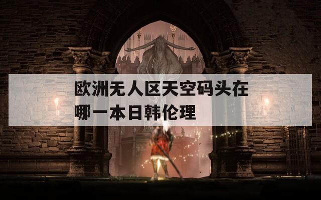 欧洲无人区天空码头在哪一本日韩伦理  第1张