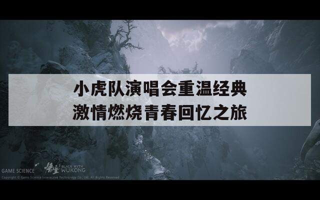小虎队演唱会重温经典激情燃烧青春回忆之旅  第1张