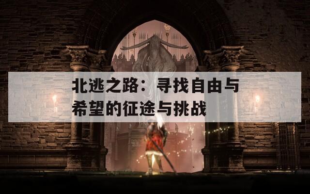 北逃之路：寻找自由与希望的征途与挑战  第1张