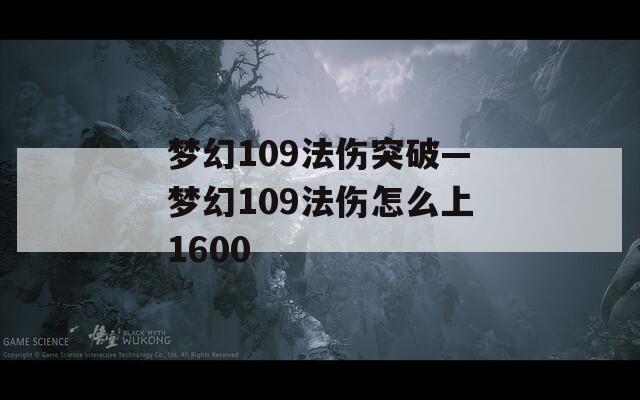 梦幻109法伤突破—梦幻109法伤怎么上1600  第1张