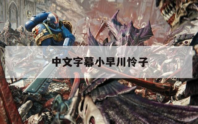 中文字幕小早川怜子  第1张