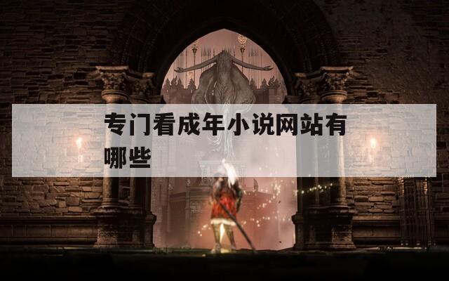 专门看成年小说网站有哪些  第1张