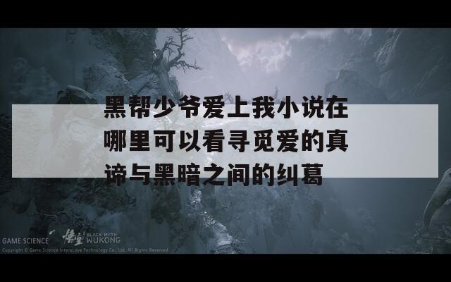 黑帮少爷爱上我小说在哪里可以看寻觅爱的真谛与黑暗之间的纠葛