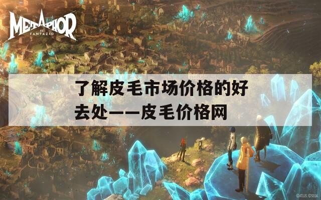 了解皮毛市场价格的好去处——皮毛价格网
