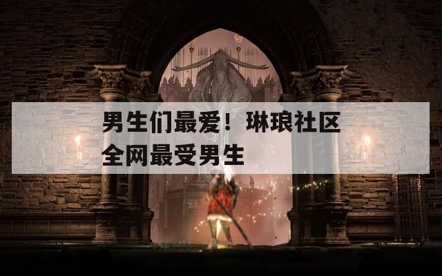男生们最爱！琳琅社区全网最受男生