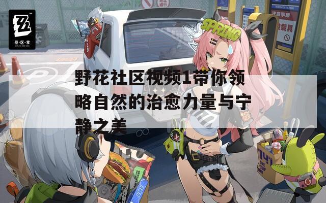 野花社区视频1带你领略自然的治愈力量与宁静之美