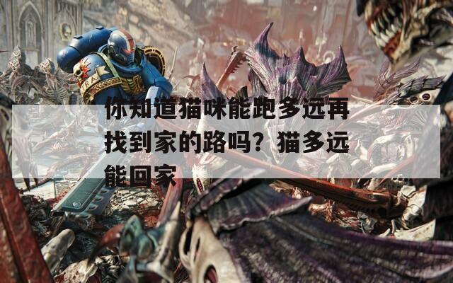 你知道猫咪能跑多远再找到家的路吗？猫多远能回家