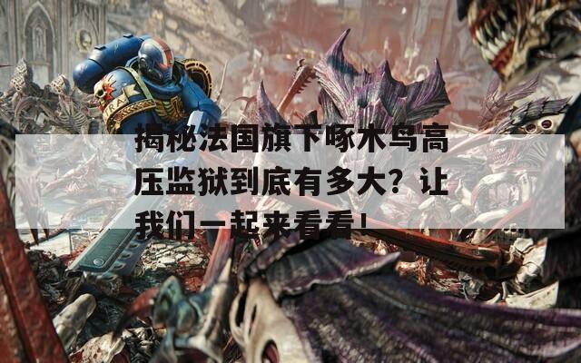 揭秘法国旗下啄木鸟高压监狱到底有多大？让我们一起来看看！