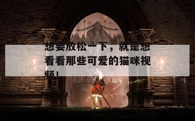 想要放松一下，就是想看看那些可爱的猫咪视频！