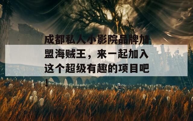 成都私人小影院品牌加盟海贼王，来一起加入这个超级有趣的项目吧！  第1张