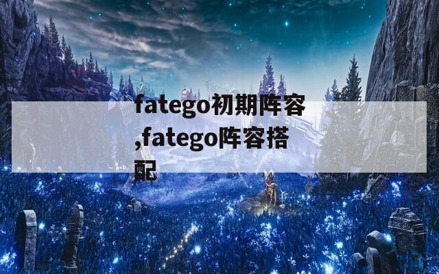 fatego初期阵容,fatego阵容搭配  第1张
