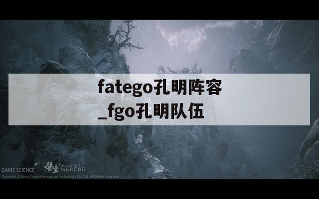 fatego孔明阵容_fgo孔明队伍