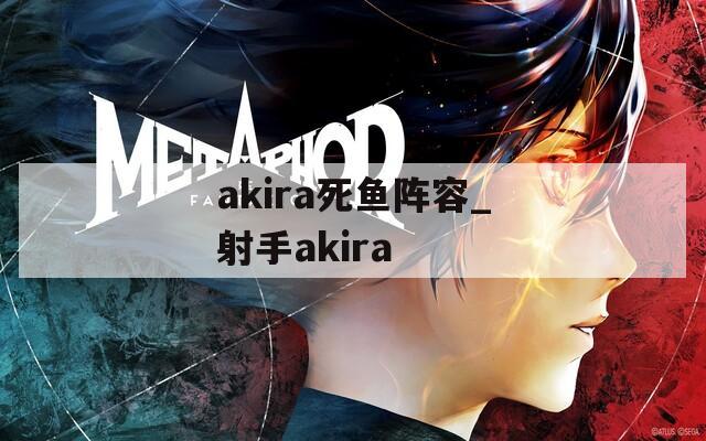 akira死鱼阵容_射手akira