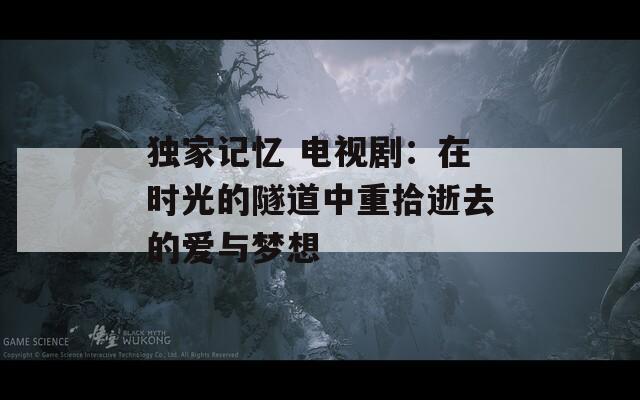 独家记忆 电视剧：在时光的隧道中重拾逝去的爱与梦想