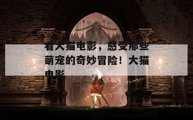 看大猫电影，感受那些萌宠的奇妙冒险！大猫电影  第1张