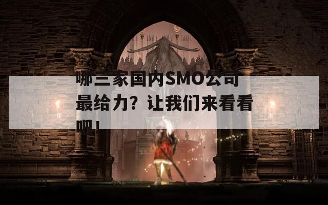 哪三家国内SMO公司最给力？让我们来看看吧！