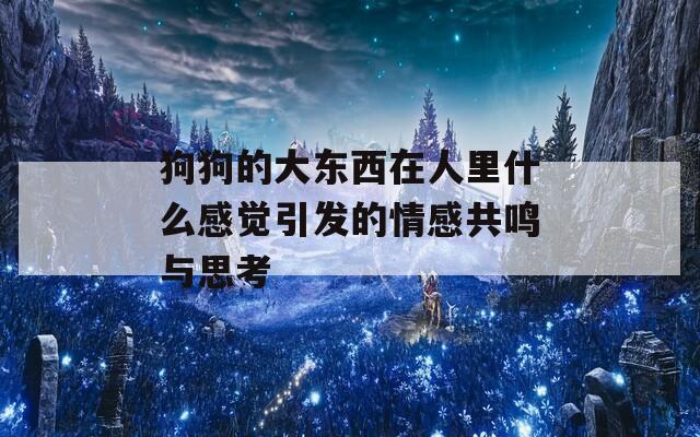 狗狗的大东西在人里什么感觉引发的情感共鸣与思考