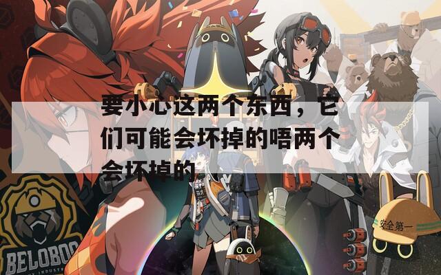 要小心这两个东西，它们可能会坏掉的唔两个会坏掉的  第1张