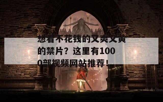 想看不花钱的又爽又黄的禁片？这里有1000部视频网站推荐！