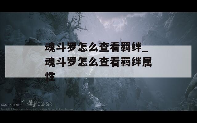 魂斗罗怎么查看羁绊_魂斗罗怎么查看羁绊属性