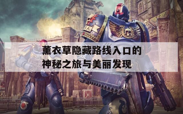 薰衣草隐藏路线入口的神秘之旅与美丽发现  第1张