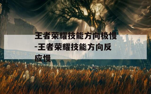 王者荣耀技能方向极慢-王者荣耀技能方向反应慢  第1张