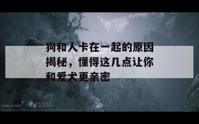 狗和人卡在一起的原因揭秘，懂得这几点让你和爱犬更亲密  第1张