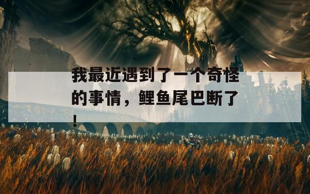 我最近遇到了一个奇怪的事情，鲤鱼尾巴断了！